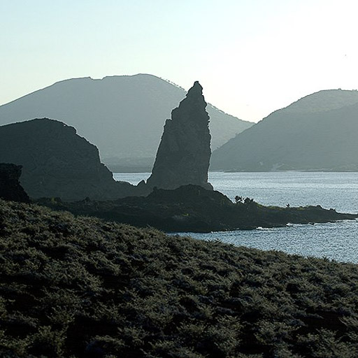 2006 Galapagos