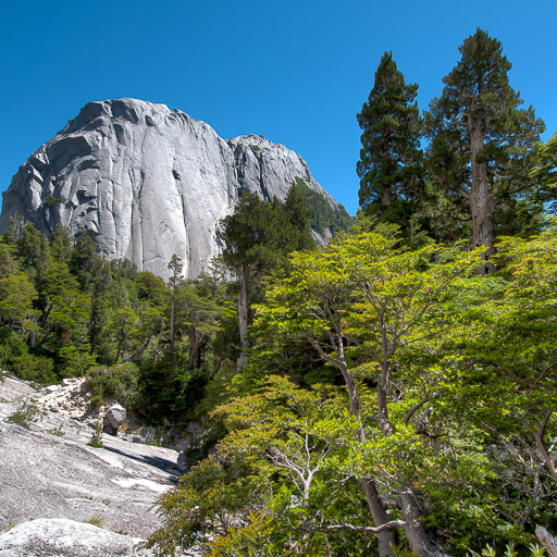 2011 Cochamó