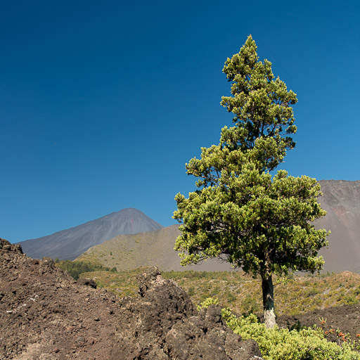 2015 Laguna del Laja