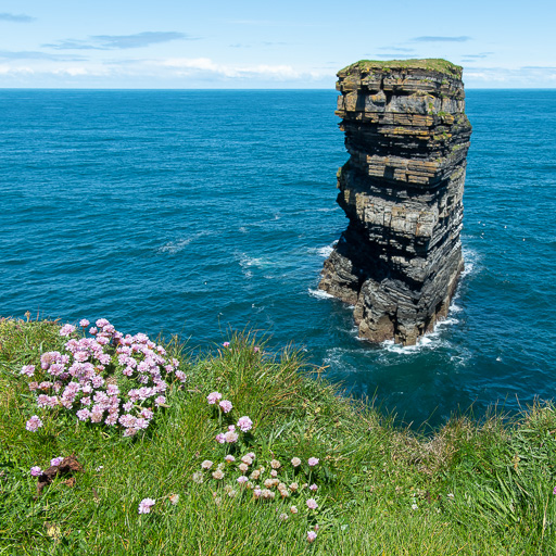 2019 Ireland